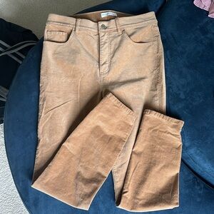 Velvet jeans from loft